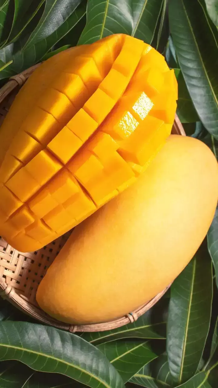 Fruits For Stomach: गर्मी में पाचन दुरुस्त करना है?  इन फलों को डाइट में शामिल करें, मिलेगा चमत्कारी फायदा