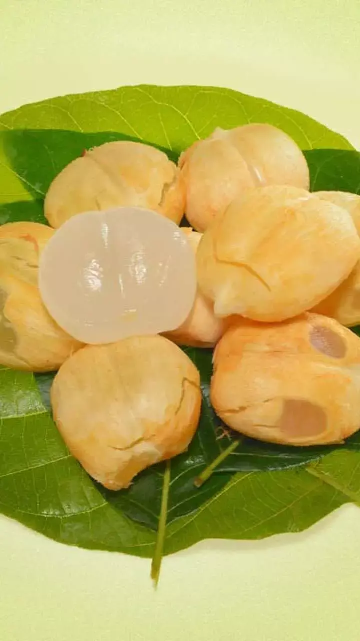 Benefits Of Tadgola Fruit: गर्मी में मिलेगी ठंडक, बर्फ जैसा यह फल है सेहत का खज़ाना!
