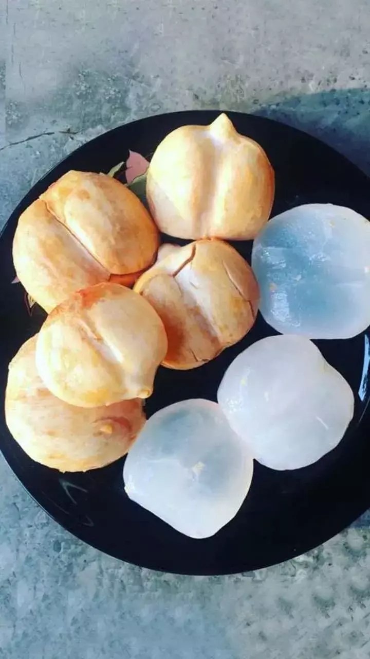 Benefits Of Tadgola Fruit: गर्मी में मिलेगी ठंडक, बर्फ जैसा यह फल है सेहत का खज़ाना!