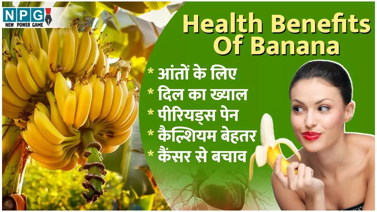 Health Benefits Of Banana: रोज़ एक से दो केले खाने पर सेहत को मिलते हैं ये 12 खास फायदे... Health Benefits Of Banana: रोज़ एक से दो केले खाने पर सेहत को मिलते हैं ये 12 खास फायदे...
