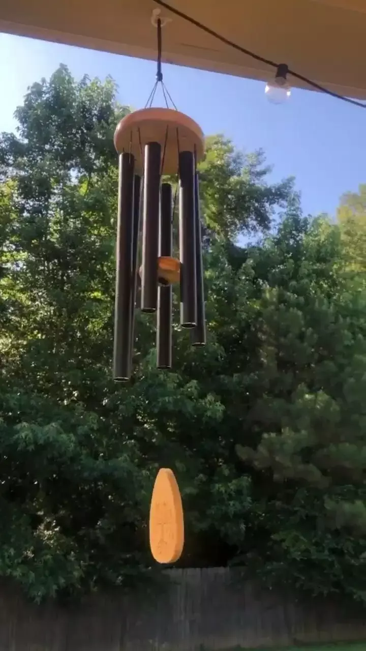 Vastu Tips: मैजिकल साउंड या सौभाग्य का संकेत? जानिए विंड चाइम्स से जुड़ा रहस्य
