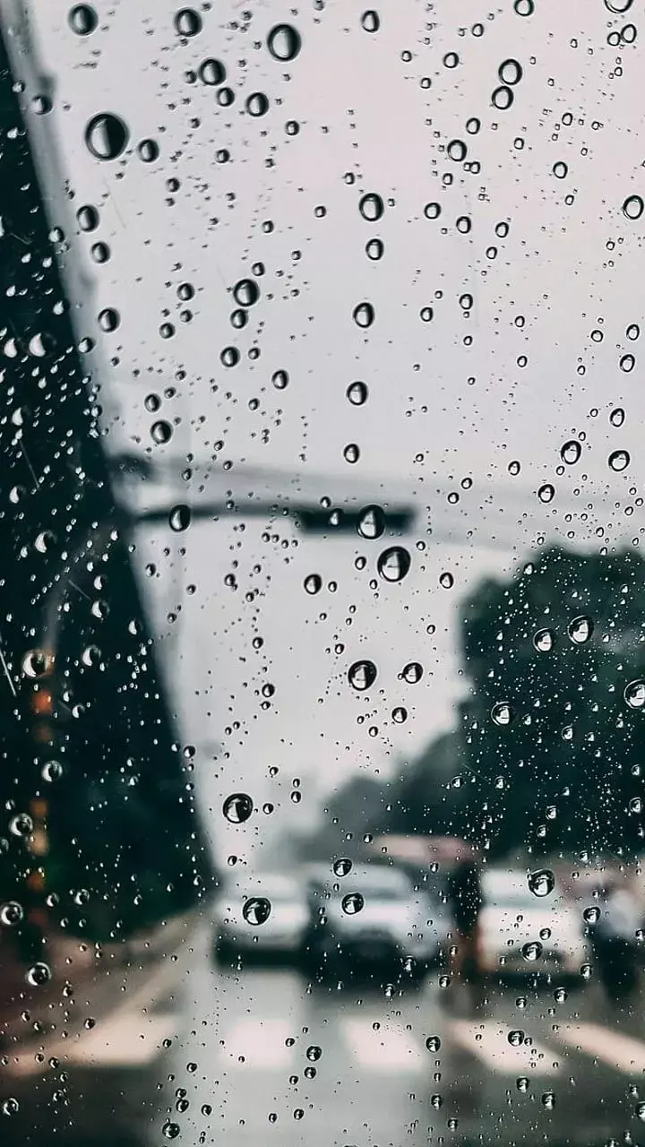 Vastu Tips: बारिश का पानी बन सकता है आपकी किस्मत बदलने का जरिया, जानें बेहद आसान उपाय