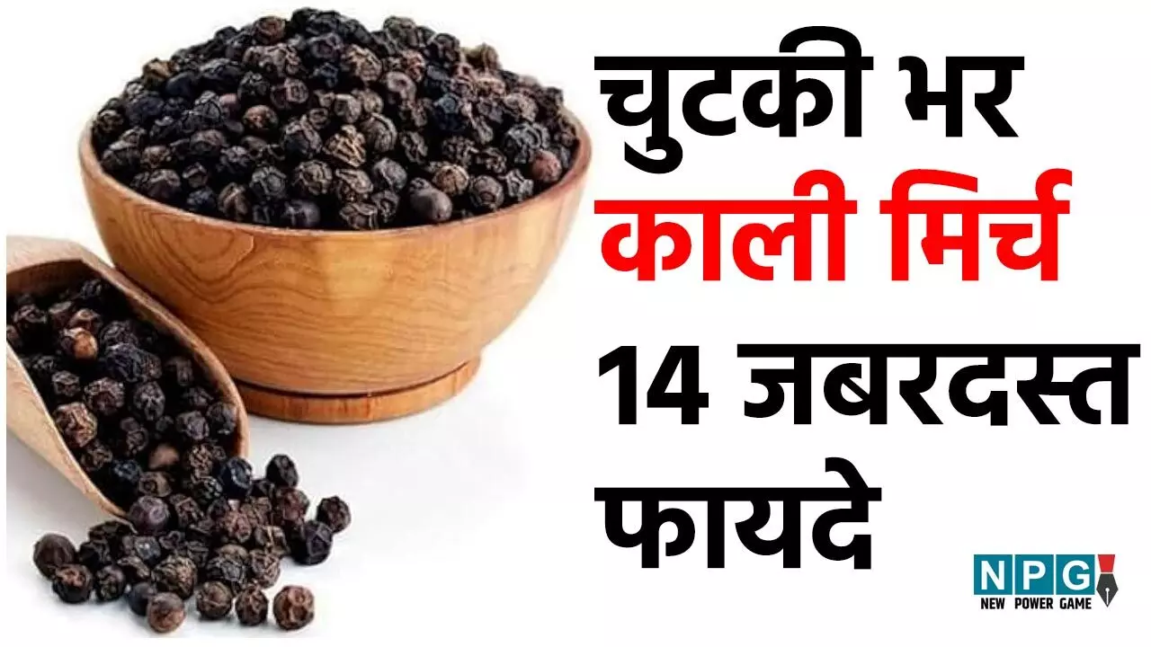 Black Pepper Benefits: चुटकी भर काली मिर्च के 14 जबरदस्त स्वास्थ्य लाभ यहां जानिए... Black Pepper Benefits: चुटकी भर काली मिर्च के 14 जबरदस्त स्वास्थ्य लाभ यहां जानिए...