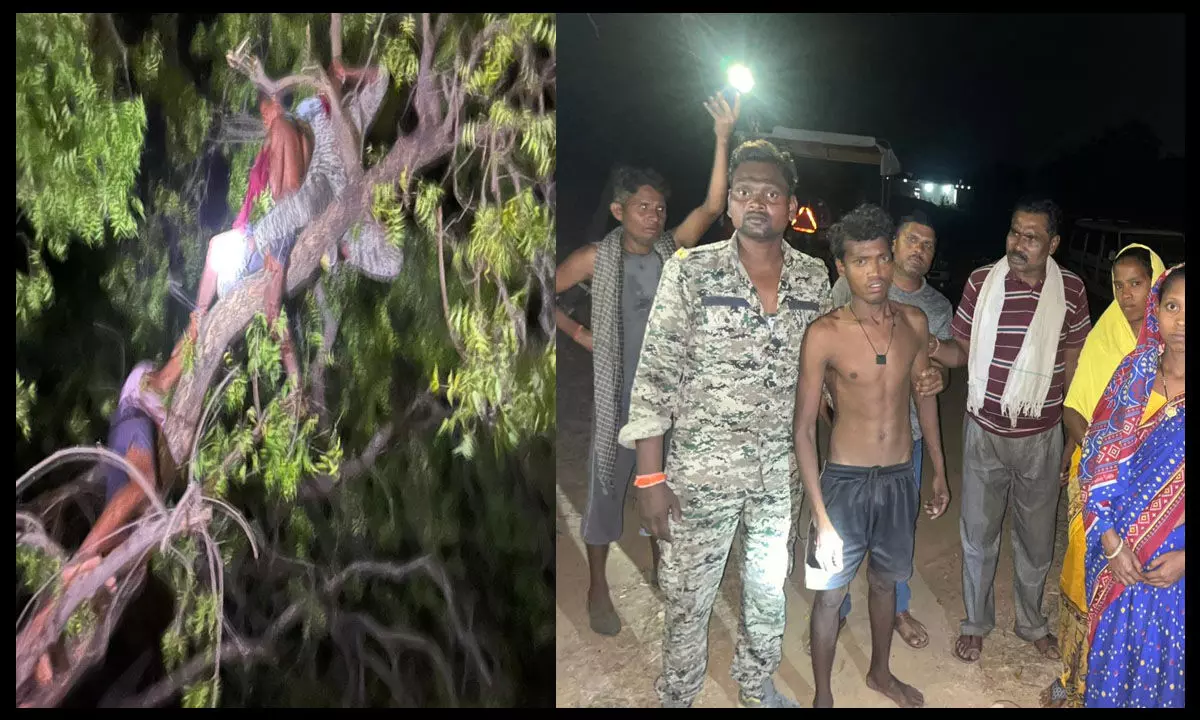 Raigarh News: आत्महत्या करने पेड़ पर चढ़ा युवक, फिर 112 के आरक्षक ने ऐसे बचाई जान... Raigarh News: आत्महत्या करने पेड़ पर चढ़ा युवक, फिर 112 के आरक्षक ने ऐसे बचाई जान...
