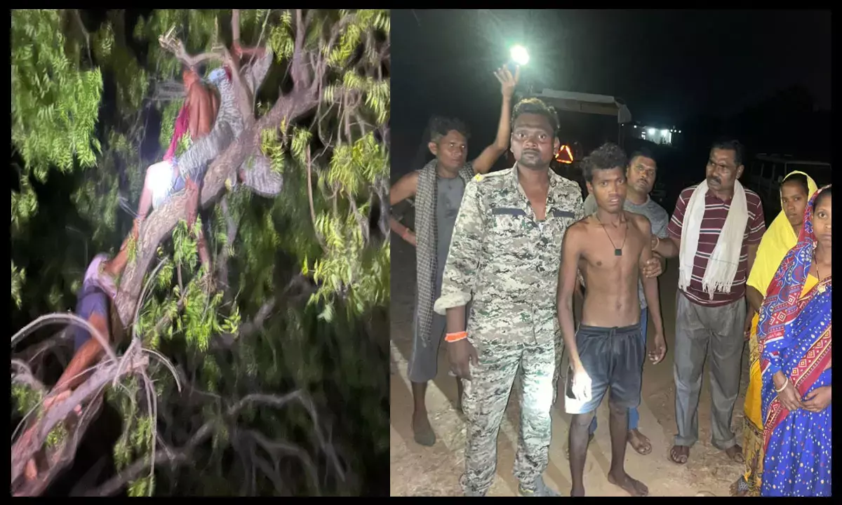 Raigarh News: आत्महत्या करने पेड़ पर चढ़ा युवक, फिर 112 के आरक्षक ने ऐसे बचाई जान... Raigarh News: आत्महत्या करने पेड़ पर चढ़ा युवक, फिर 112 के आरक्षक ने ऐसे बचाई जान...