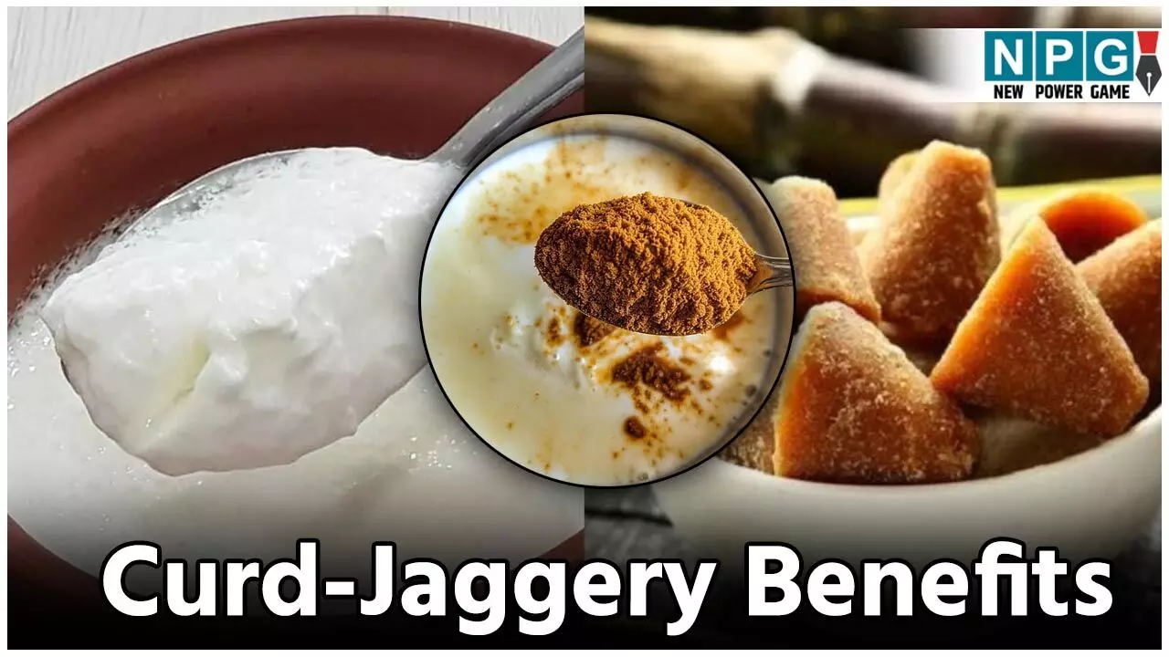 Curd-Jaggery Benefits: दही में डालिए गुड़ की एक डली और फिर देखिए कमाल, गर्मी में ज़बरदस्त है ये काॅम्बिनेशन, जानिए फायदे... Curd-Jaggery Benefits: दही में डालिए गुड़ की एक डली और फिर देखिए कमाल, गर्मी में ज़बरदस्त है ये काॅम्बिनेशन, जानिए फायदे...