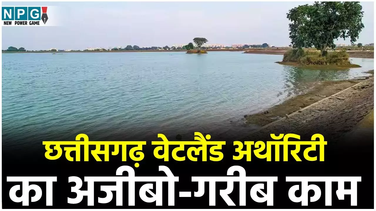 Chhattisgarh Wetland Authority: छत्तीसगढ़ वेटलैंड अथॉरिटी का अजीबो-गरीब काम, सरोवर धरोहर योजना को लगा रहे बट्टा...