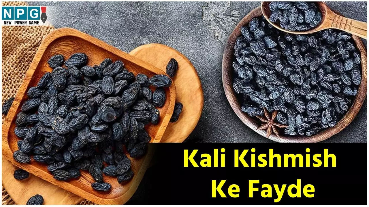 Kali kishmish Ke Fayde: भिगोई हुई काली किशमिश शरीर पर करती है जादू सा असर, जानिये कमाल के फायदे...