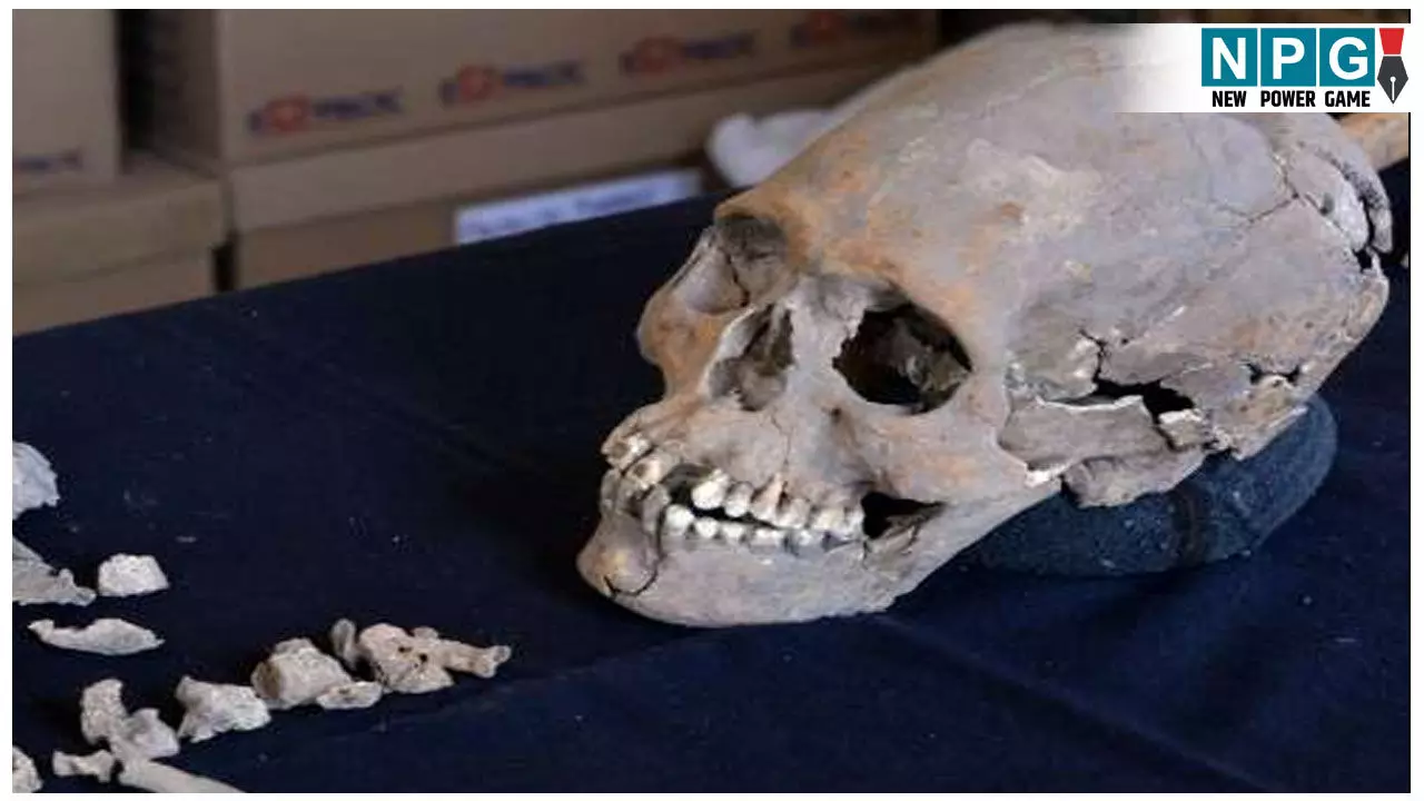 Dhamtari News: सालों से बंद गोदाम के सेप्टिक टैंक से मिला मानव कंकाल,