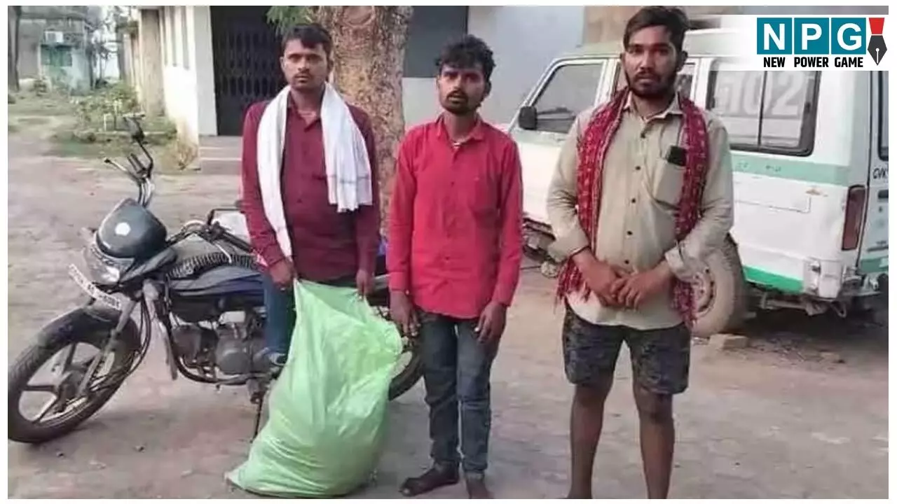 Bilaspur News: टाइगर किलिंग: बाघ ने ग्रामीण का किया शिकार; पीएम कराने बोरे में भरकर लामा पड़ा शव...