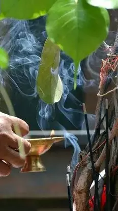 Vat Savitri Vrat Puja 2025: क्या कुंवारी लड़कियां वट सावित्री व्रत रख सकती हैं?