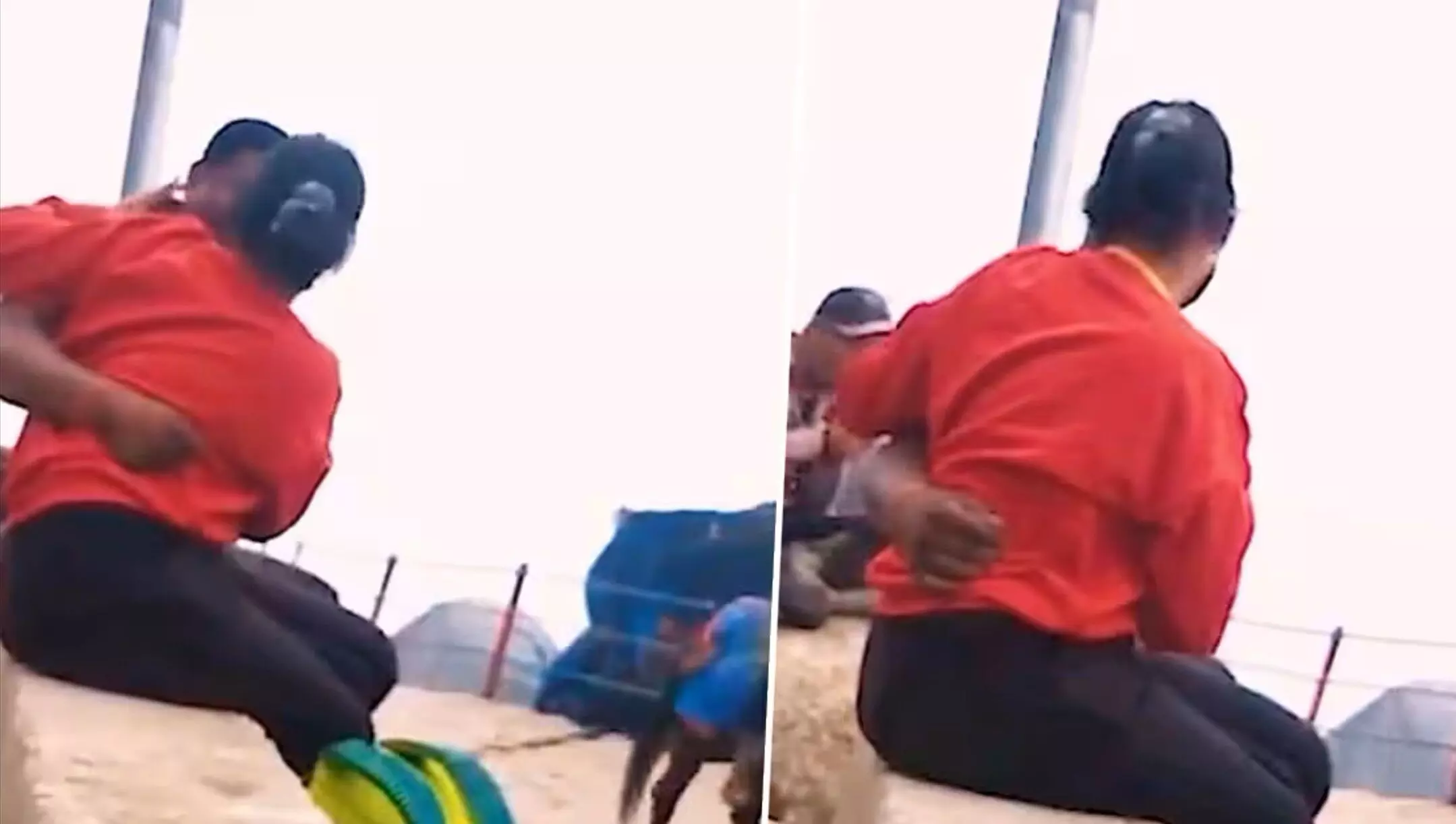 Kedarnath Dham Couple Viral Video Kedarnath Dham Couple Viral Video