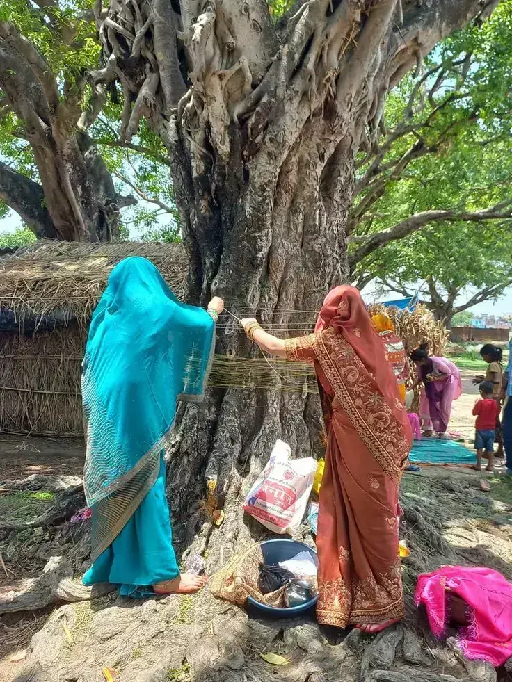 Vat Savitri Vrat 2025: वट सावित्री व्रत के दिन बरगद के पेड़ पर सात बार क्यों बाँधा जाता है कच्चा सूत?