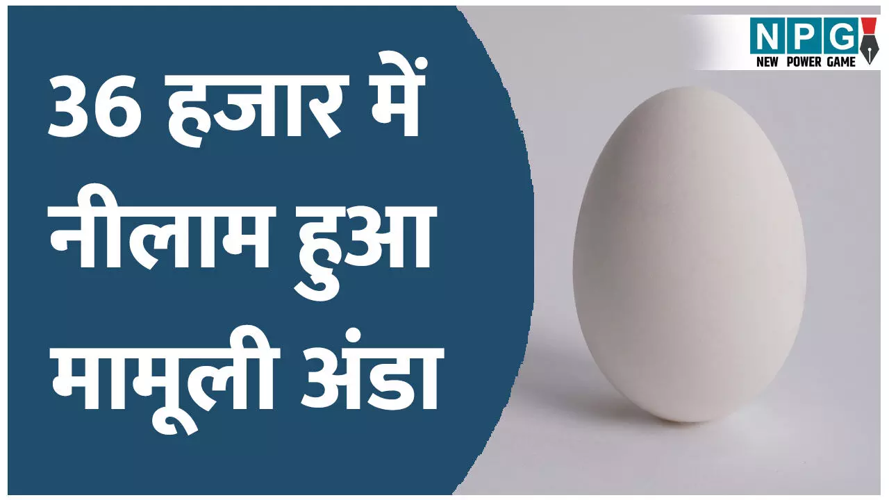 जम्मू-कश्मीर में 36 हजार में नीलम हुआ एक अंडा, वजह जान कर उड़ जायेंगे आप के होश!