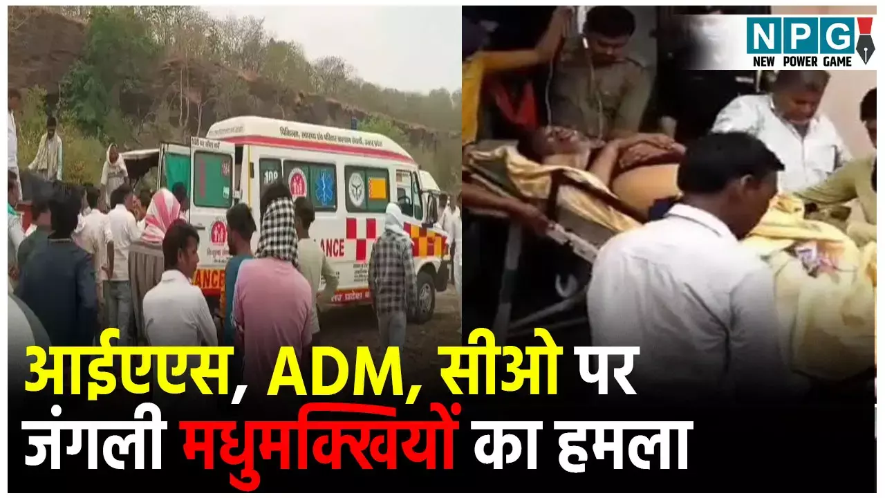 Lalitpur Bee Attack News: निरक्षण पर निकले अधिकारियों पर मधुमक्खियों का हमला...