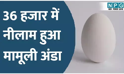 जम्मू-कश्मीर में 36 हजार में नीलम हुआ एक अंडा, वजह जान कर उड़ जायेंगे आप के होश!
