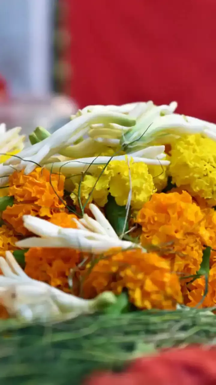 Vastu Tips: पूजा में चढ़े सूखे फूल फेंकने की न करें गलती, इन उपायों से मिलेगा सुख, समृद्धि और स्वास्थ्य