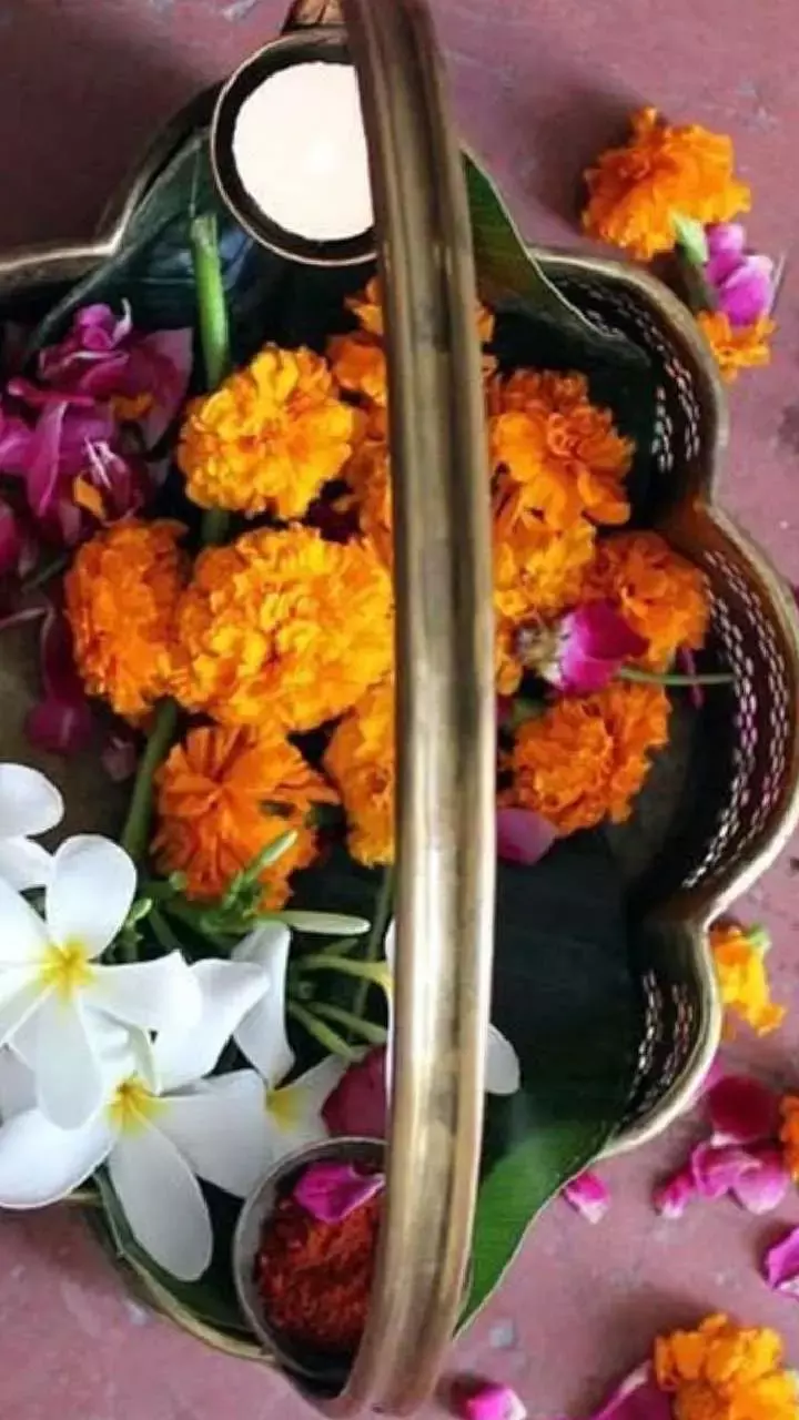 Vastu Tips: पूजा में चढ़े सूखे फूल फेंकने की न करें गलती, इन उपायों से मिलेगा सुख, समृद्धि और स्वास्थ्य