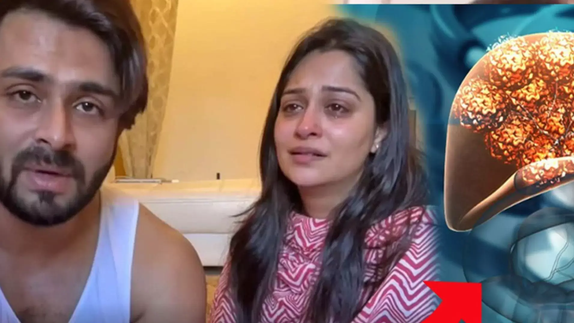 Dipika Kakar Liver Cancer: "सिमर" को हुआ स्टेज-2 लिवर कैंसर! दीपिका कक्कड़ ने किया इमोशनल खुलासा, फैंस की आंखें हुई नम