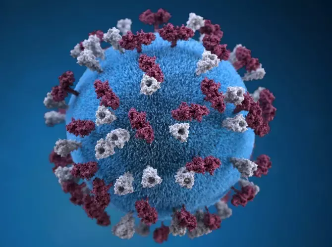Measles Virus Alert: सावधान! कोरोना के बाद अब खसरा वायरस का खतरा, एक मरीज 18 लोगों को कर सकता है संक्रमित फाइल फोटो