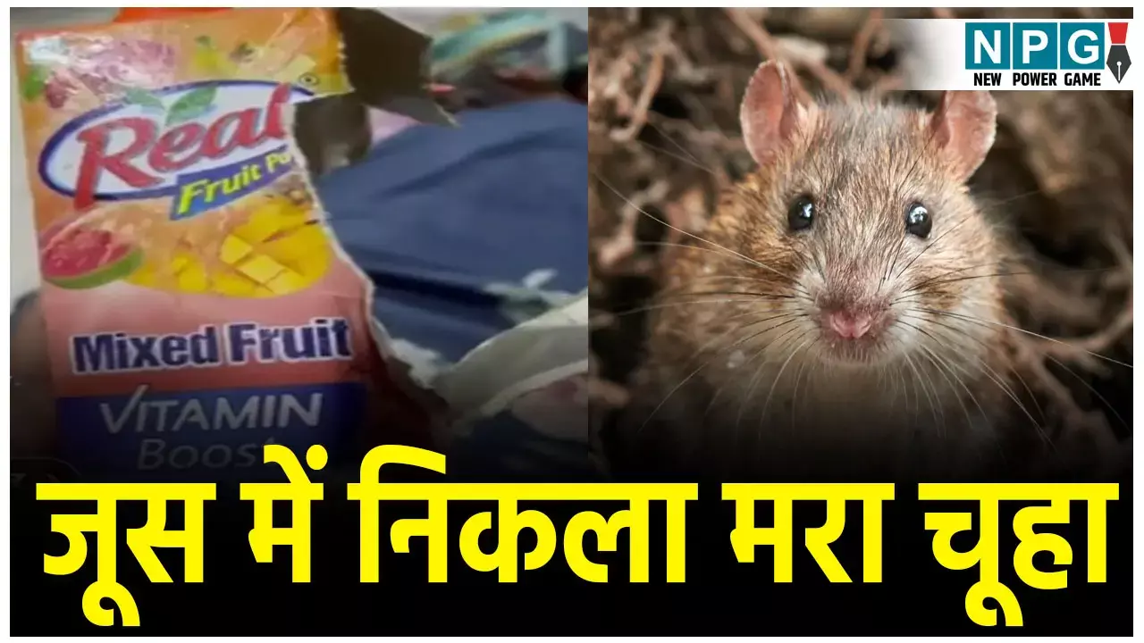 Indore Juice News: फ्रूट जूस के पैकेट में निकला मरा हुआ चूहा, ऑनलाइन किया था आर्डर,