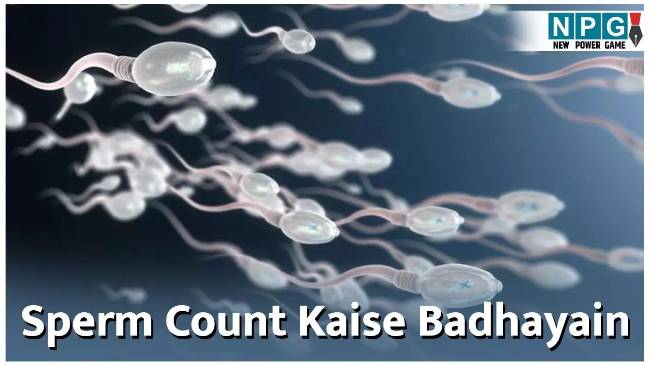 Sperm Count Kaise Badhayain: शुक्राणुओं की संख्या बढ़ाने के साइंटिफिक तरीके यहां जानिए...