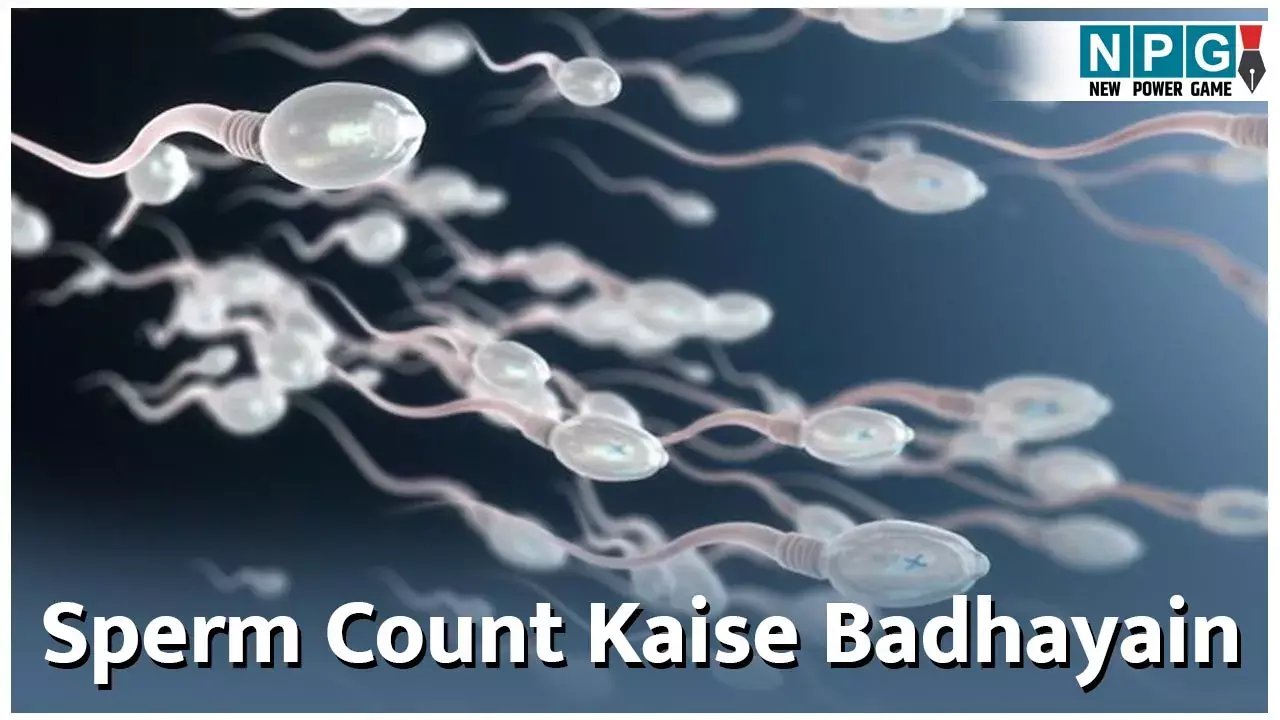 Sperm Count Kaise Badhayain: शुक्राणुओं की संख्या बढ़ाने के साइंटिफिक तरीके यहां जानिए... Sperm Count Kaise Badhayain: शुक्राणुओं की संख्या बढ़ाने के साइंटिफिक तरीके यहां जानिए...