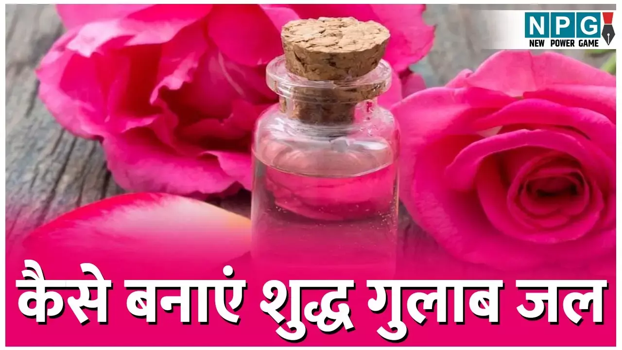 Shuddh Gulab Jal Kaise Banayein: घर में इस सिंपल टैक्नीक से बनाएं शुद्ध गुलाब जल, कुकिंग में बिना हिचक कीजिए इस्तेमाल...