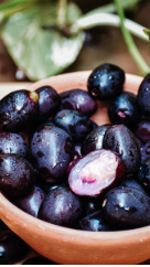 Jamun khane ke Nuksan: अगर आप भी खाते हैं जामुन, तो हो जाएं सावधान, सेहत को हो सकता है नुकसान