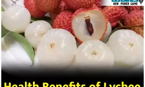 Health Benefits of Lychee: सीज़नल फ्रूट लीची खाइये, भर-भर के मिलेगा विटामिन सी, इम्यूनिटी होगी स्ट्राॅन्ग, मिलेंगे ये फायदे...