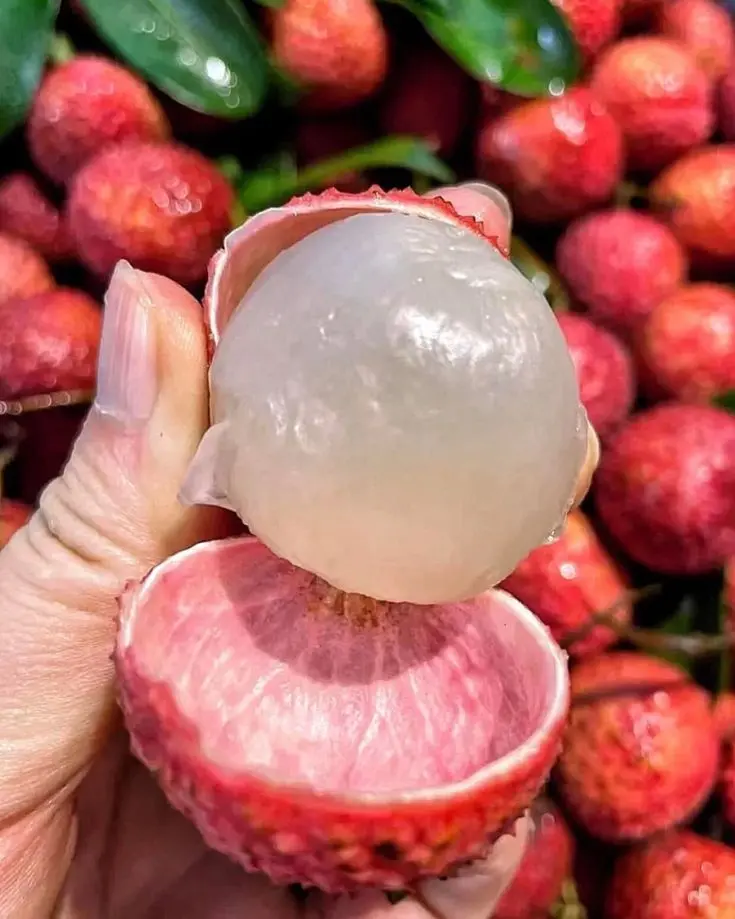 Litchi Khane Ke Fayde: लीची खाने से क्या फायदा होता है?