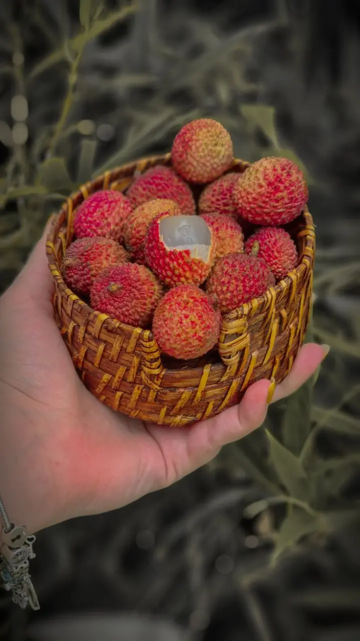 Litchi Khane Ke Fayde: लीची खाने से क्या फायदा होता है?
