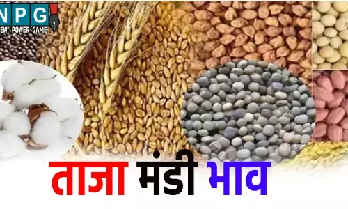 3 जून 2025 का मंडी भाव, जाने क्या है अनाज-सब्जियों का ताजा रेट