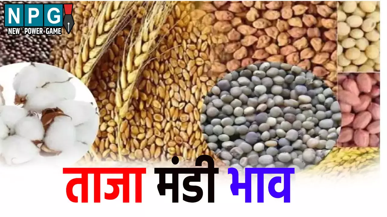 4 जून 2025 का मंडी भाव, यहां जाने अनाज-सब्जियों का ताजा रेट 4 जून 2025 का मंडी भाव, यहां जाने अनाज-सब्जियों का ताजा रेट