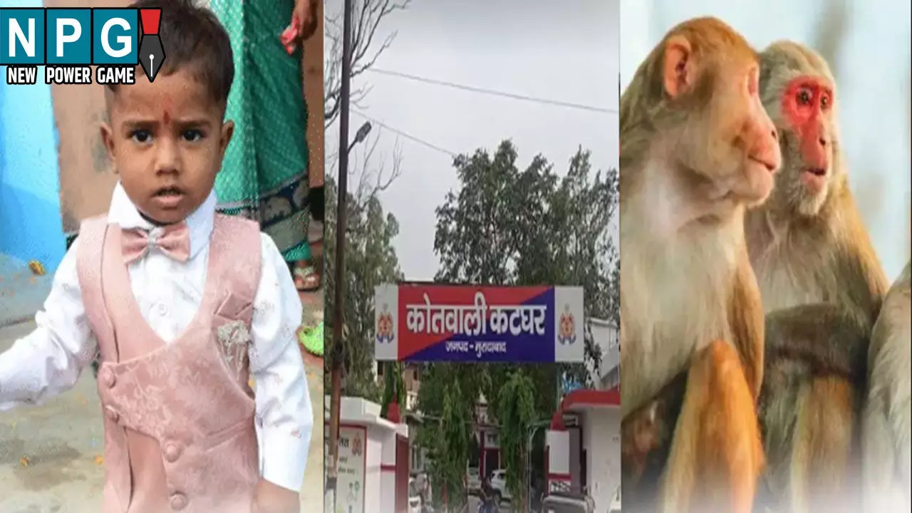 पिता के हाथों गई बेटे की जान, बंदरों पर फेंकी कुल्हाड़ी से कटी बेटे की गर्दन