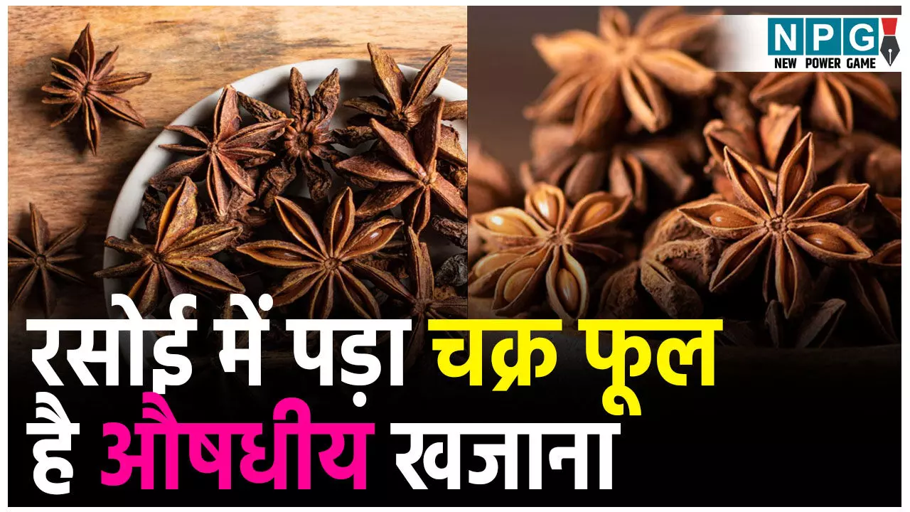 Chakra Phool Health Benefits Hindi: रसोई में पड़ा चक्र फूल है औषधीय खजाना, जानिए इसके हैरान कर देने वाले फायदे