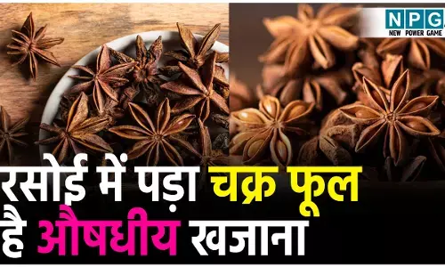 Chakra Phool Health Benefits Hindi: रसोई में पड़ा चक्र फूल है औषधीय खजाना, जानिए इसके हैरान कर देने वाले फायदे
