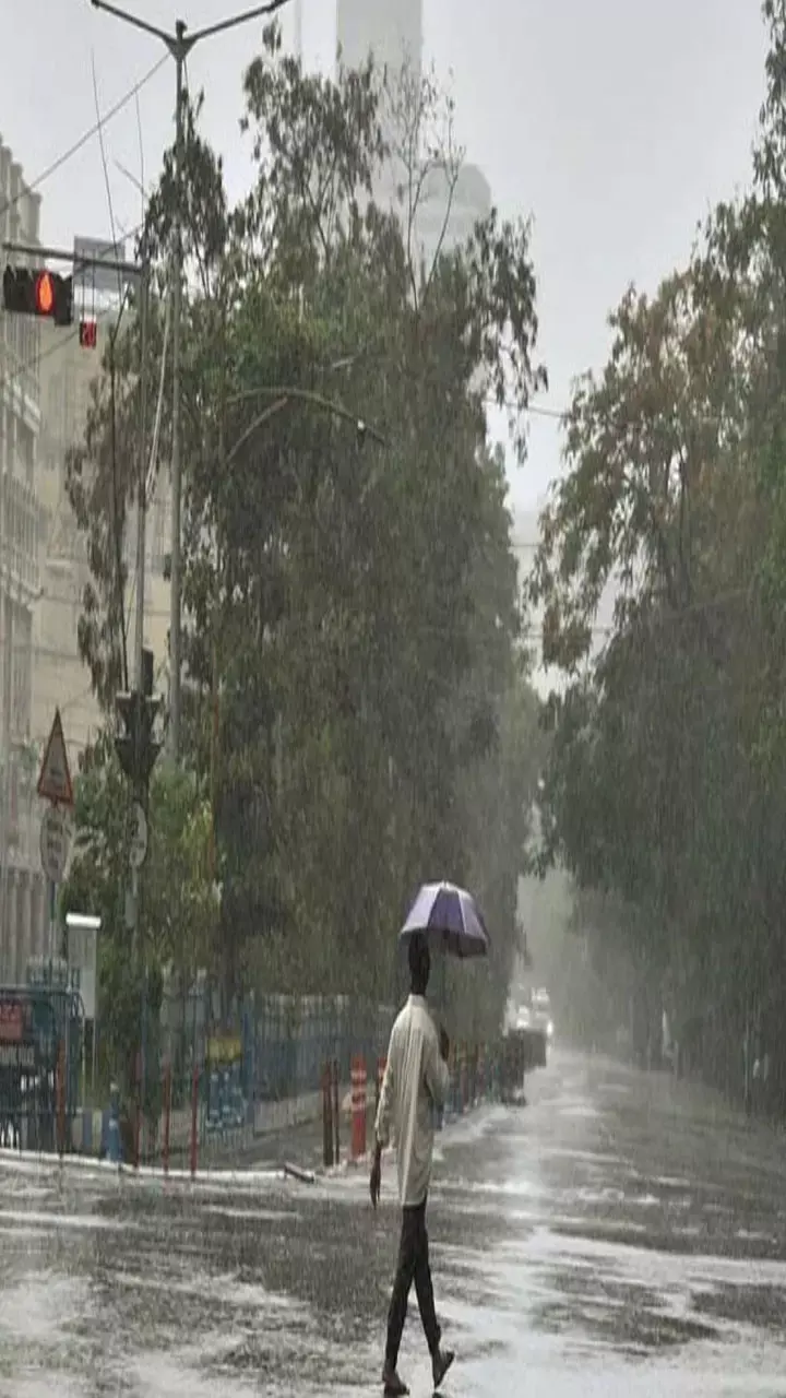CG Weather Update: थम गई छत्तीसगढ़ में मानसून की रफ्तार, गर्मी का दिखा प्रकोप, इन जिलों में बारिश अलर्ट