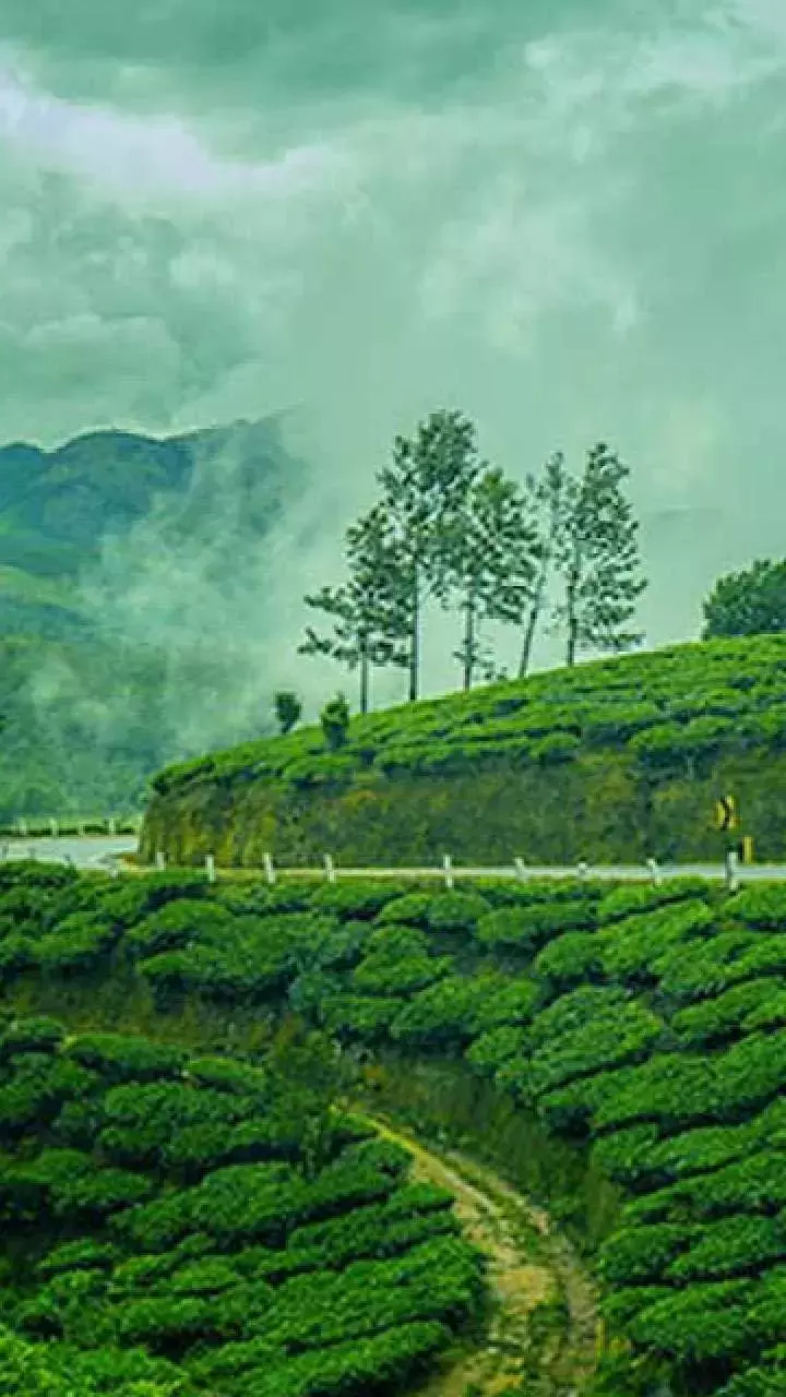 Monsoon Trip Plan In India: मानसून में एक्सप्लोर करें ये जगहें, खूबसूरती देख भूल जाएंगे सारे टेंशन