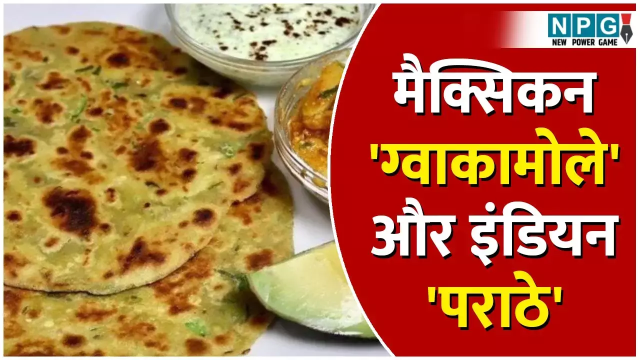Guacamole Paratha Recipe: मैक्सिकन ग्वाकामोले और इंडियन पराठे का अद्भुत जोड़ है ग्वाकामोले पराठा, इतना टेस्टी कि दो के बजाय खाएंगे चार...