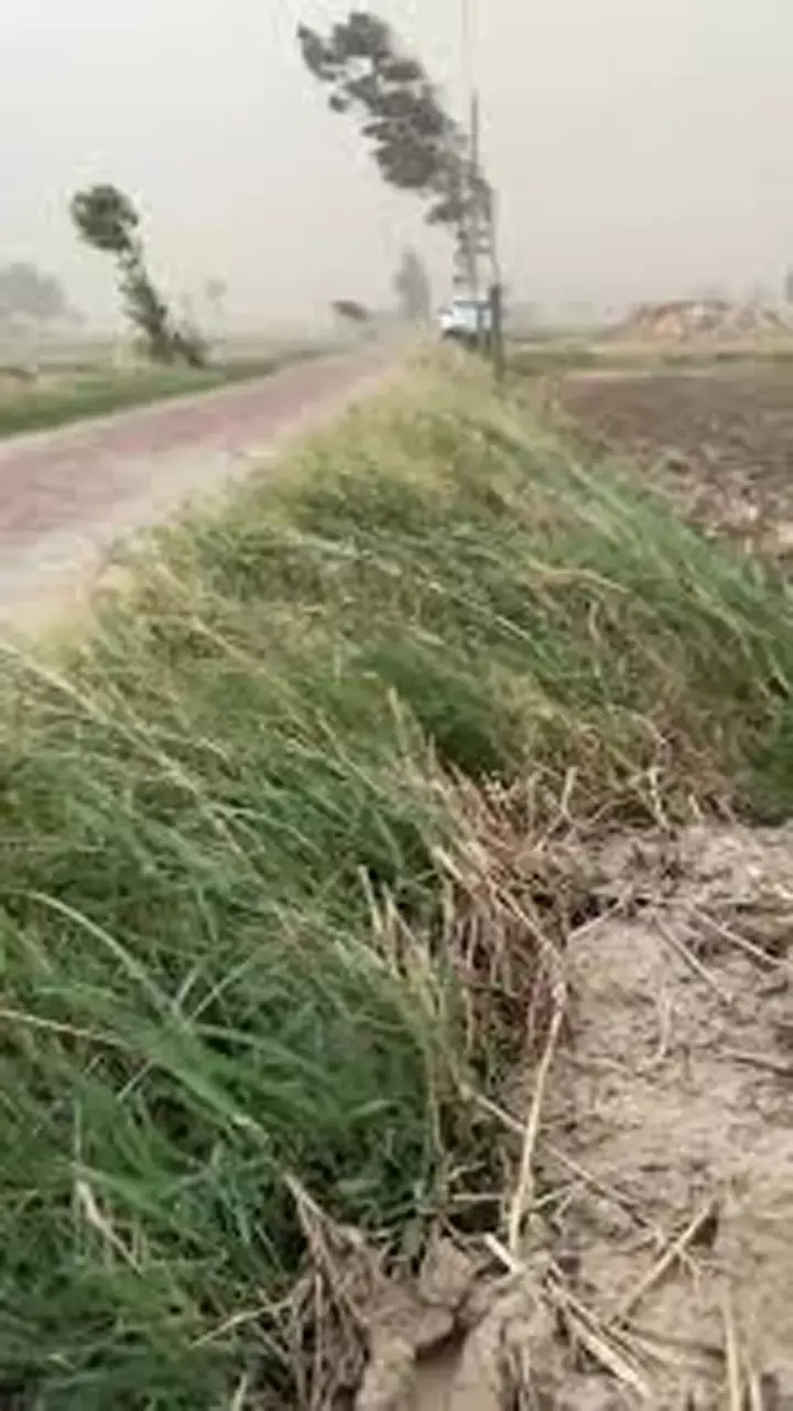 CG Weather Update: छत्तीसगढ़ में अटक गया मानसून, 29 जिले ड्राई, तापमान में उछाल, बस्तर संभाग में अलर्ट जारी