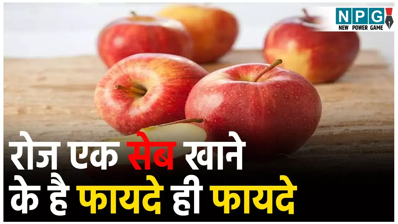 Health Benefits Of Apples: एक सेब रोज़ खाने से पेट होता खुल के साफ़, दिल-दिमाग सबके लिए फायदे ही फायदे...
