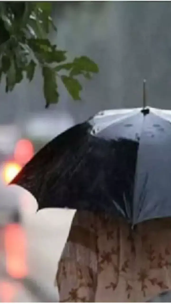 CG Weather Update: छत्तीसगढ़ में बस्तर से आगे नहीं बढ़ रहा मानसून, बढ़ेगा तापमान, बस्तर में यलो अलर्ट जारी