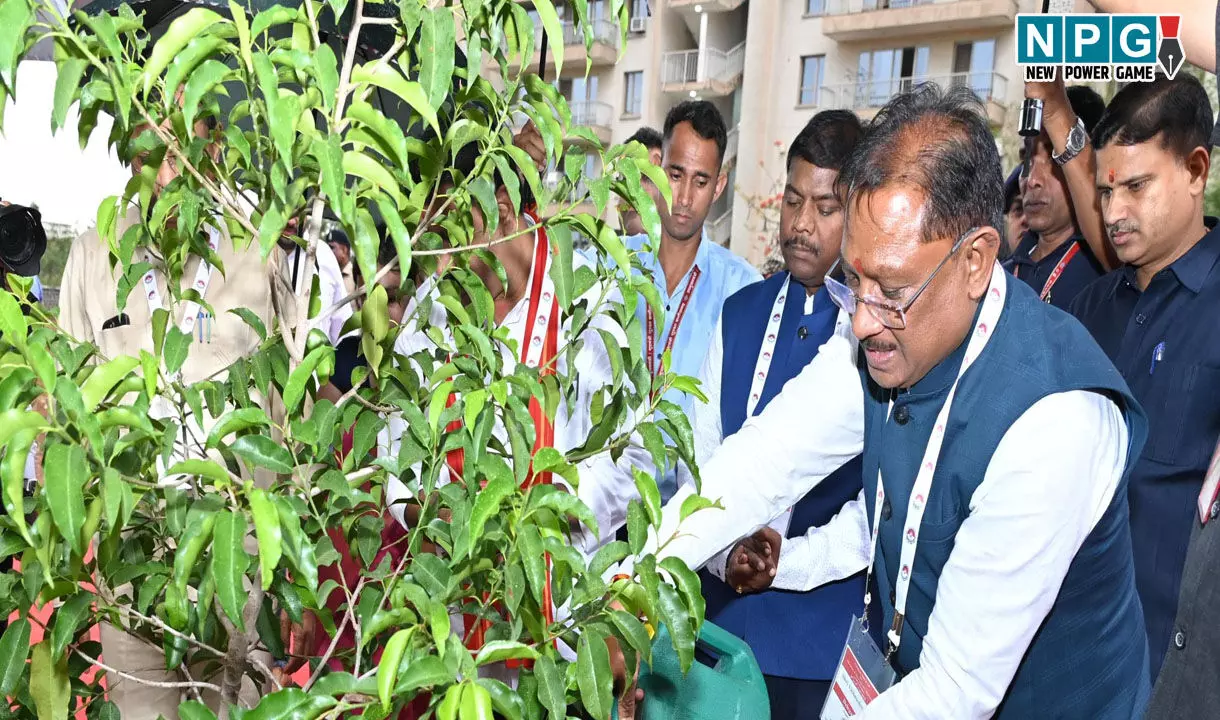 मुख्यमंत्री ने आईआईएम रायपुर परिसर में किया सुशासन वाटिका का शुभारंभ, मंत्रिमंडल के सदस्यों के साथ सुशासन वाटिका में किया मौलश्री के पौधे का रोपण मुख्यमंत्री ने आईआईएम रायपुर परिसर में किया सुशासन वाटिका का शुभारंभ, मंत्रिमंडल के सदस्यों के साथ सुशासन वाटिका में किया मौलश्री के पौधे का रोपण