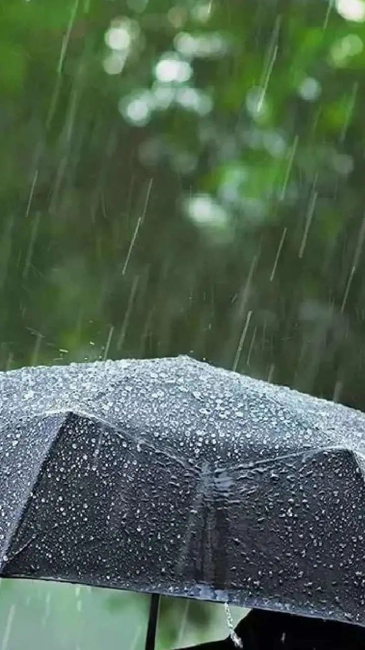 CG Weather Update:  छत्तीसगढ़ में जल्द होगा मौसम में बदलाव, तेज़ बारिश और गरज-चमक की चेतावनी