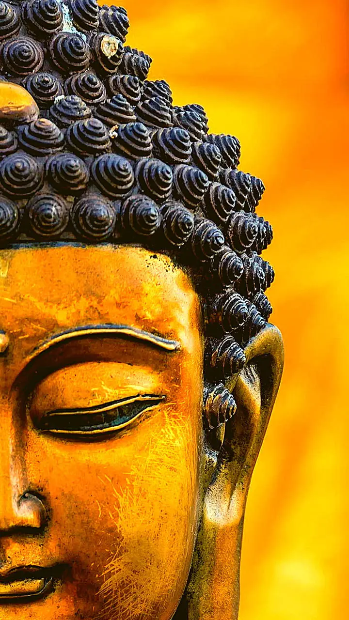 Vastu Tips: गौतम बुद्ध की मूर्ति रखें, घर में लाएं शांति और समृद्धि! जानिए क्या कहता है वास्तु शास्त्र