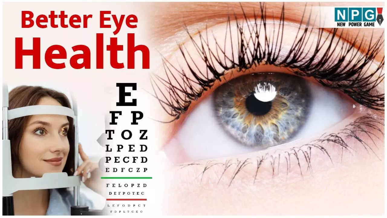 Daily Habits For Better Eye Health: जानें आंखों को लंबी उम्र तक स्वस्थ रखने के लिए क्या करें, कहां सतर्कता बरतें... Daily Habits For Better Eye Health: जानें आंखों को लंबी उम्र तक स्वस्थ रखने के लिए क्या करें, कहां सतर्कता बरतें...