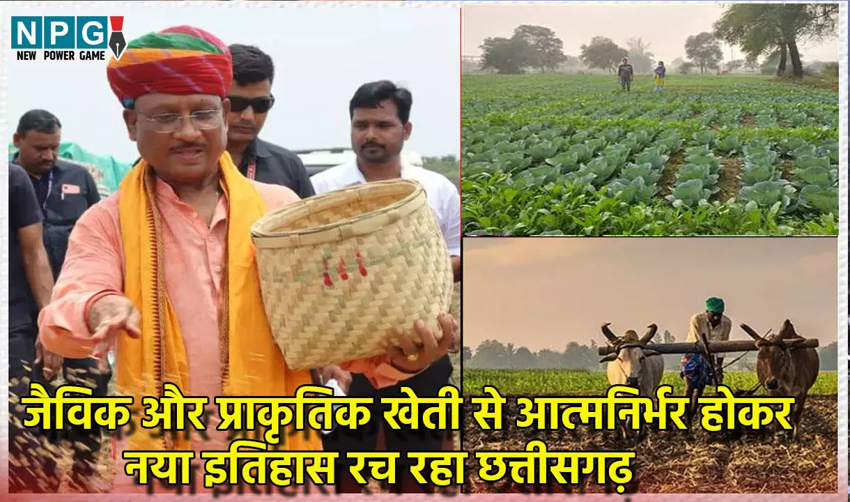 सिर्फ धान पर निर्भरता नहींः विष्णुदेव सरकार की योजनाओं से जैविक और प्राकृतिक खेती से आत्मनिर्भर होकर नया इतिहास रच रहे छत्तीसगढ़ के किसान सिर्फ धान पर निर्भरता नहींः विष्णुदेव सरकार की योजनाओं से जैविक और प्राकृतिक खेती से आत्मनिर्भर होकर नया इतिहास रच रहे छत्तीसगढ़ के किसान