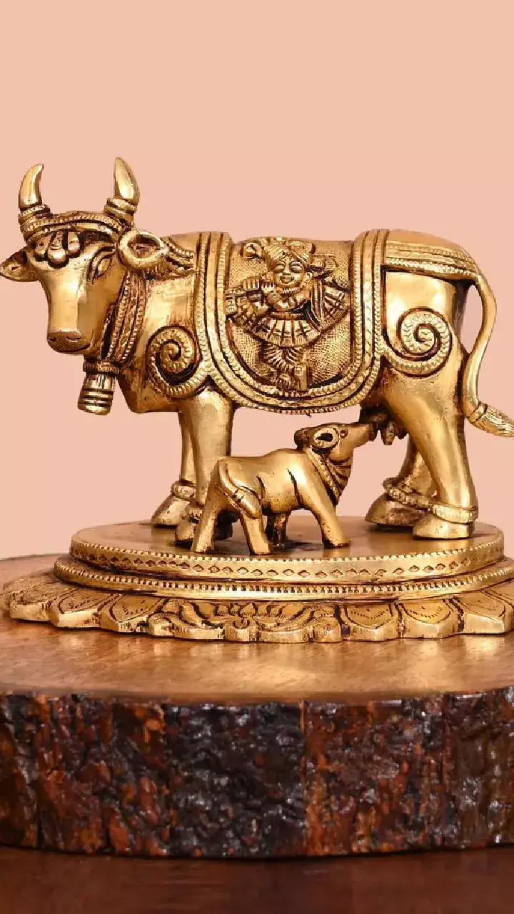 Vastu Tips: इस मूर्ति से घर में आएगी सुख, समृद्धि, जानिए सही दिशा और तरीका