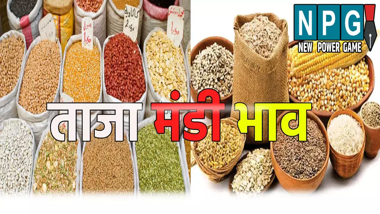 : छत्तीसगढ़ मंडी में उतार-चढ़ाव जारी, जाने अनाज, दाल , तिलहन और सब्जियों का ताजा भाव